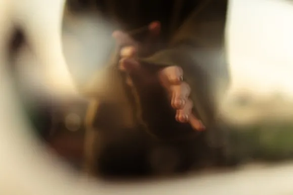 Kasino Royal Slots Sokongan